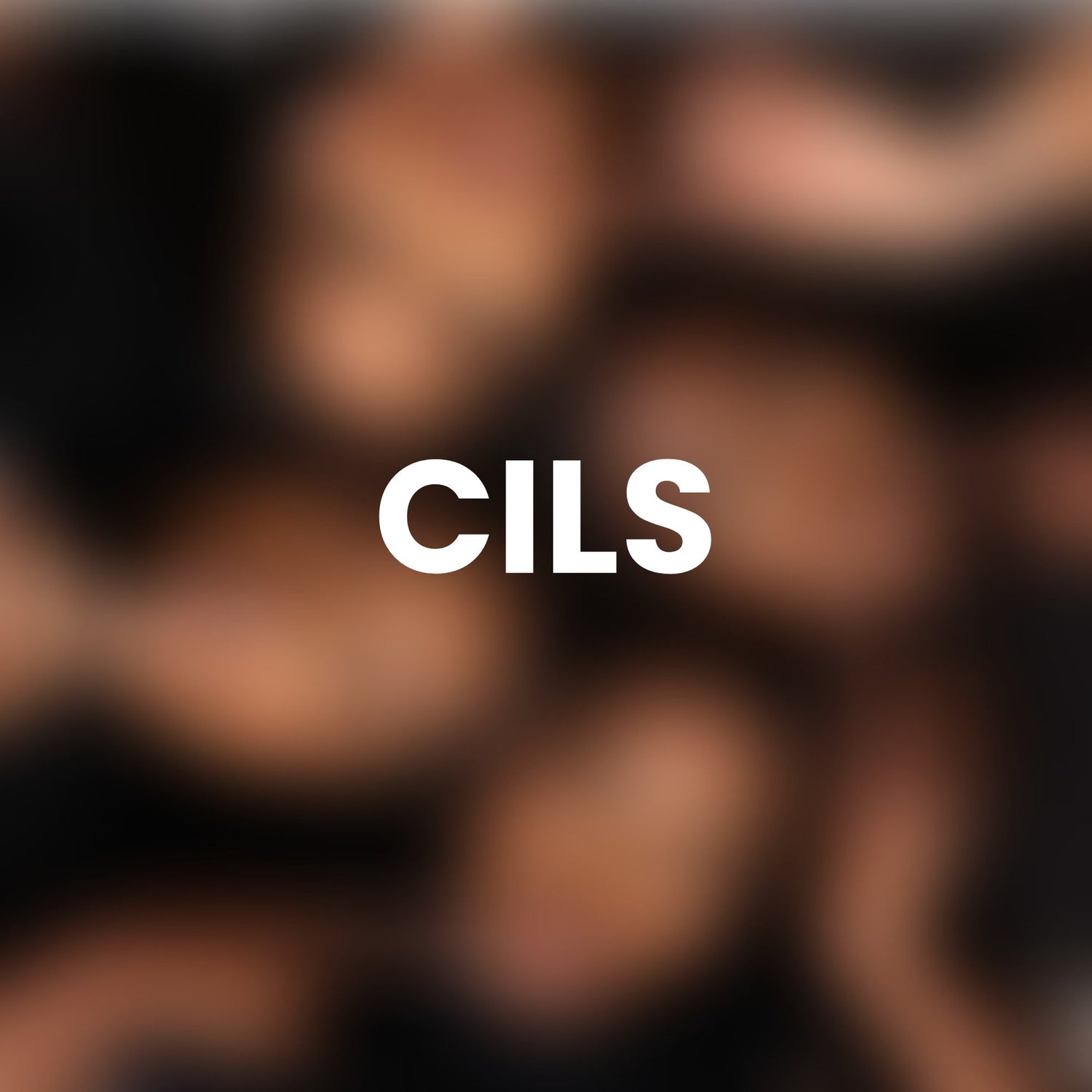 Cils